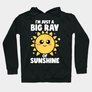 I'm Just A Big Ray Of Sunshine Kindness Irony And Sarcasm Hoodie